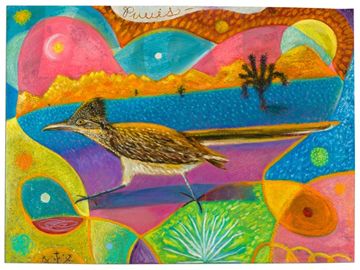 Puuis (Roadrunner)