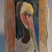 Brown Pelican