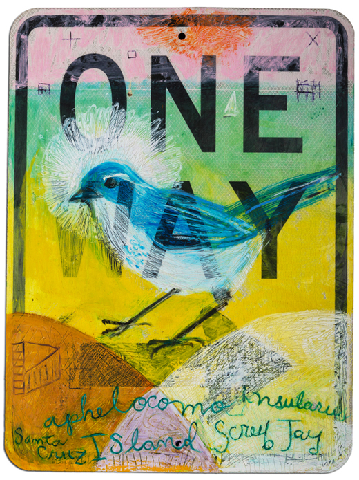 Dianne Bennett - One Way/Island Scrub Jay