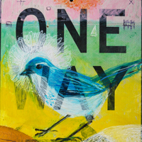 Dianne Bennett - One Way/Island Scrub Jay