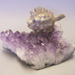 Fish on Amethyst Crystal