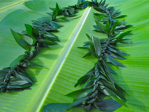 Ti-Leaf Lei